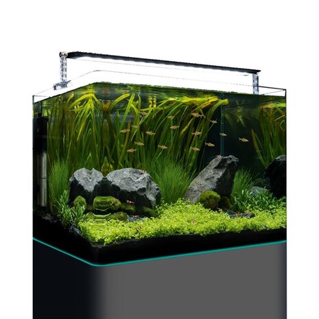 DENNERLE NANO TANK PLANT PRO 70 L