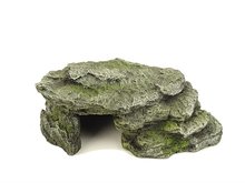 BLUE BELLE PACIFIC MOSS CAVE 2 24.6X15.4X10.5 CM