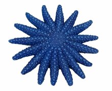 BLUE BELLE PACIFIC STAR FISH FUN COLOR BLUE 9 CM